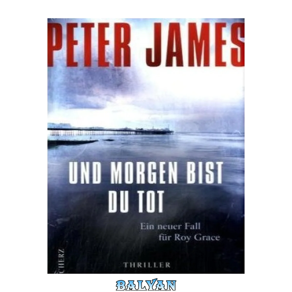 جلد کتاب Und morgen bist du tot : Thriller ; [ein neuer Fall für Roy Grace