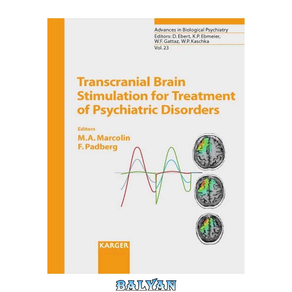 جلد کتاب Transcranial Brain Stimulation for Treatment of Psychiatric Disorders (Advances in Biological Psychiatry, Vol. 23)