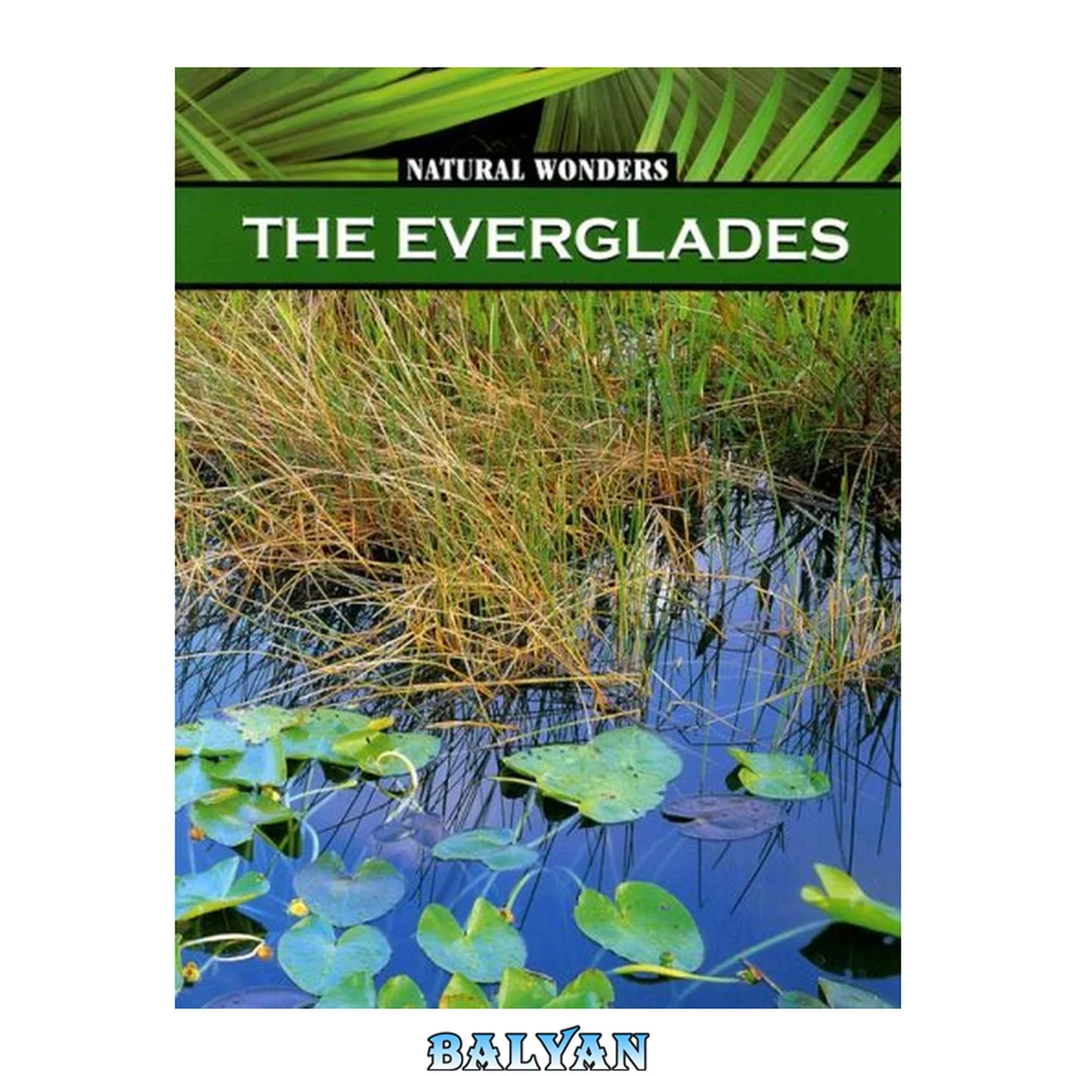 جلد کتاب The Everglades: The Largest Marsh In The United States (natural Wonders)