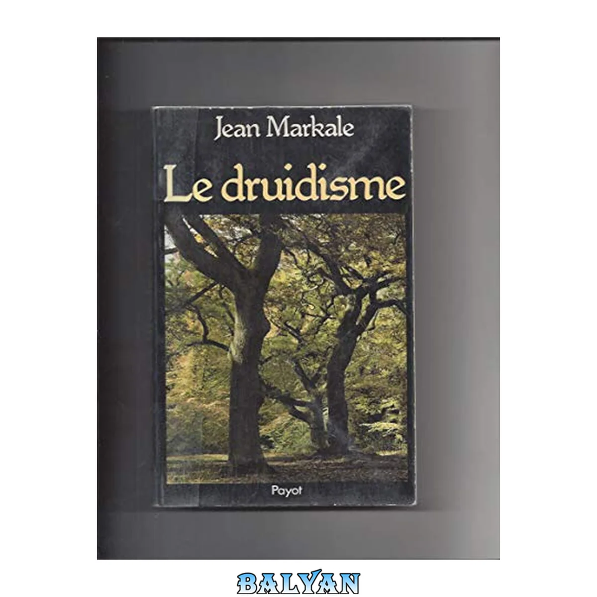 جلد کتاب Le Druidisme: Traditions Et Dieux Des Celtes (bibliothèque Historique) (french Edition)