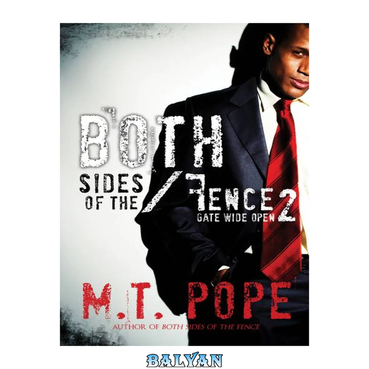 جلد کتاب Both Sides of the Fence 2: : Gate Wide Open