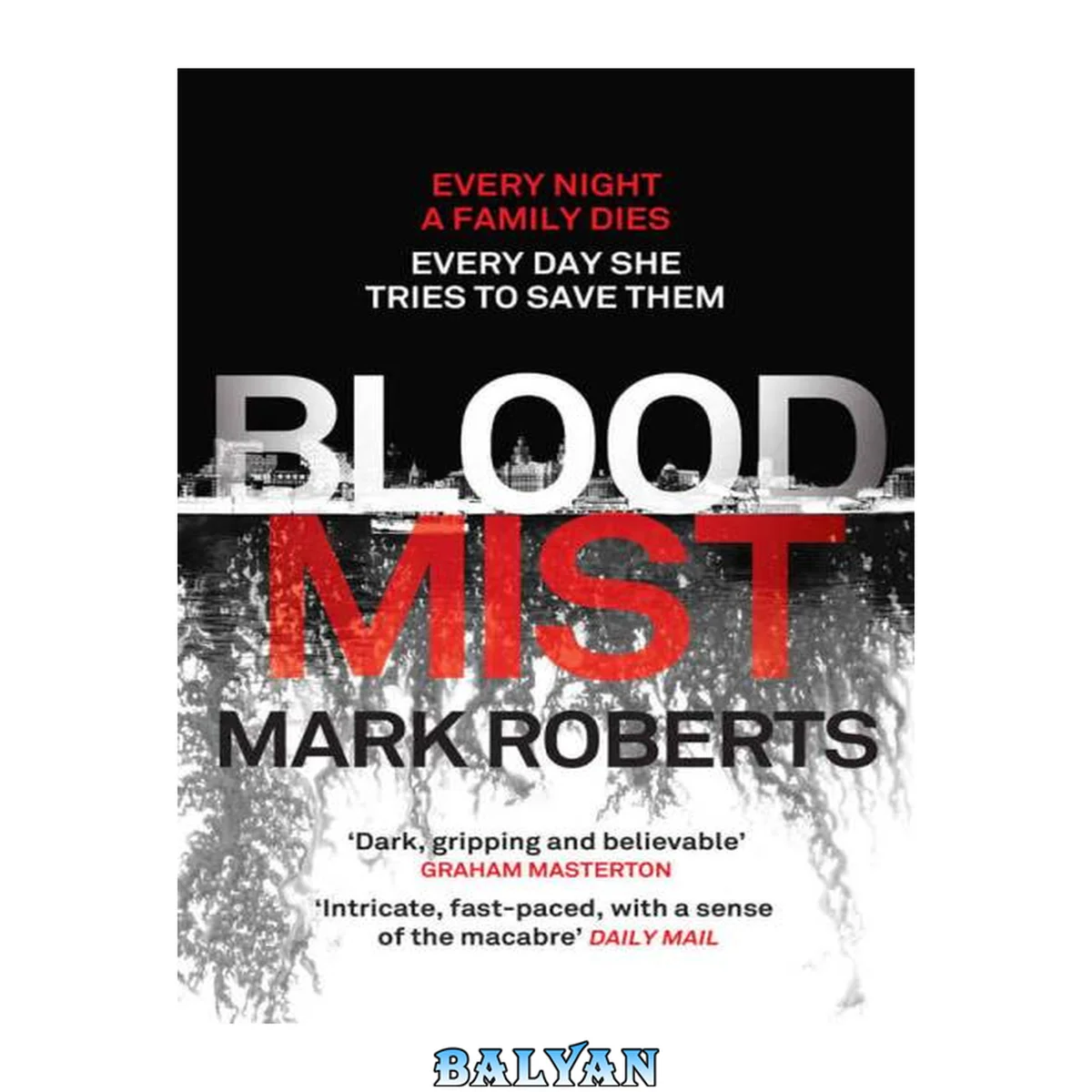 جلد کتاب Blood Mist: A gripping serial killer thriller with a dark twist (Eve Clay Book 1)