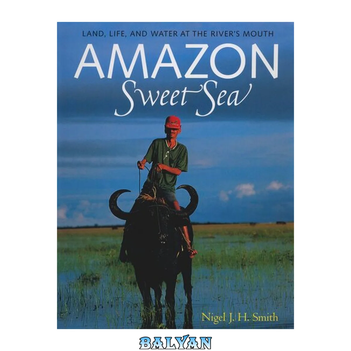 جلد کتاب Amazon Sweet Sea : Land, Life, and Water at the River's Mouth