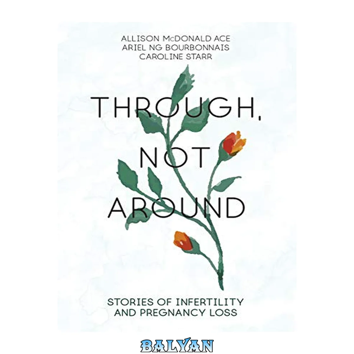 جلد کتاب Through, not around : stories of infertility and pregnancy loss
