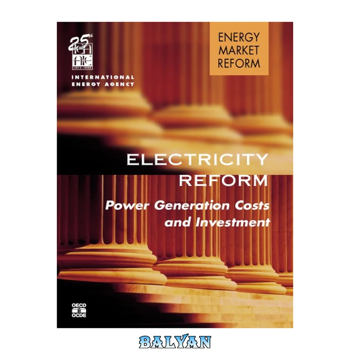 جلد کتاب Electricity Reform: Power Generation Costs and Investment (Energy Market Reform)