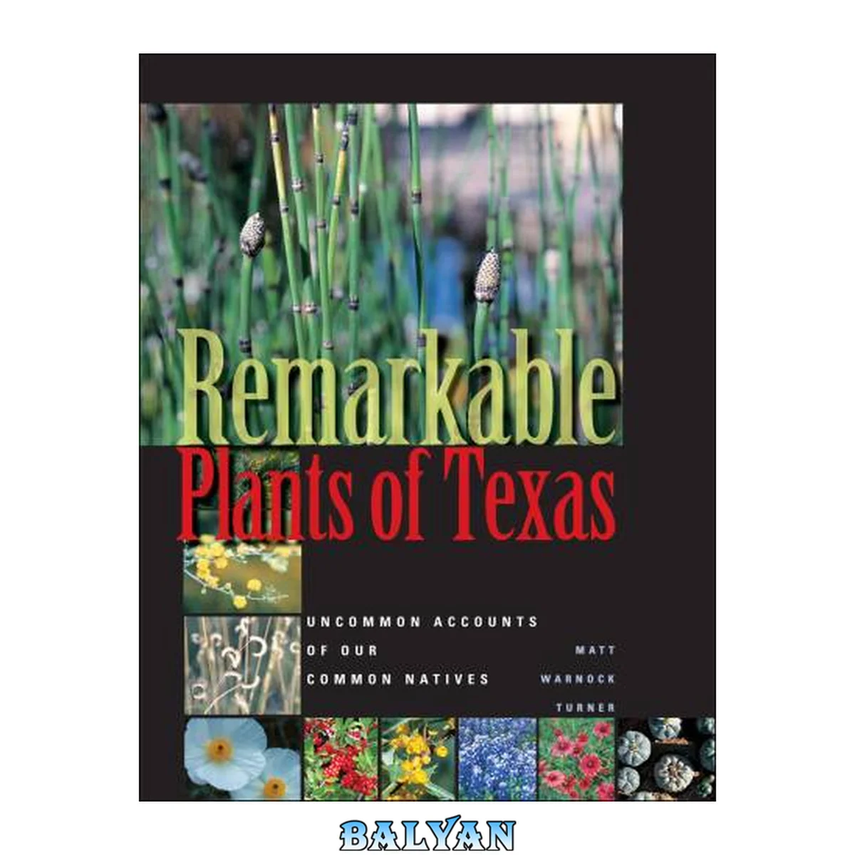 جلد کتاب Remarkable Plants of Texas: Uncommon Accounts of Our Common Natives (Corrie Herring Hooks Series)