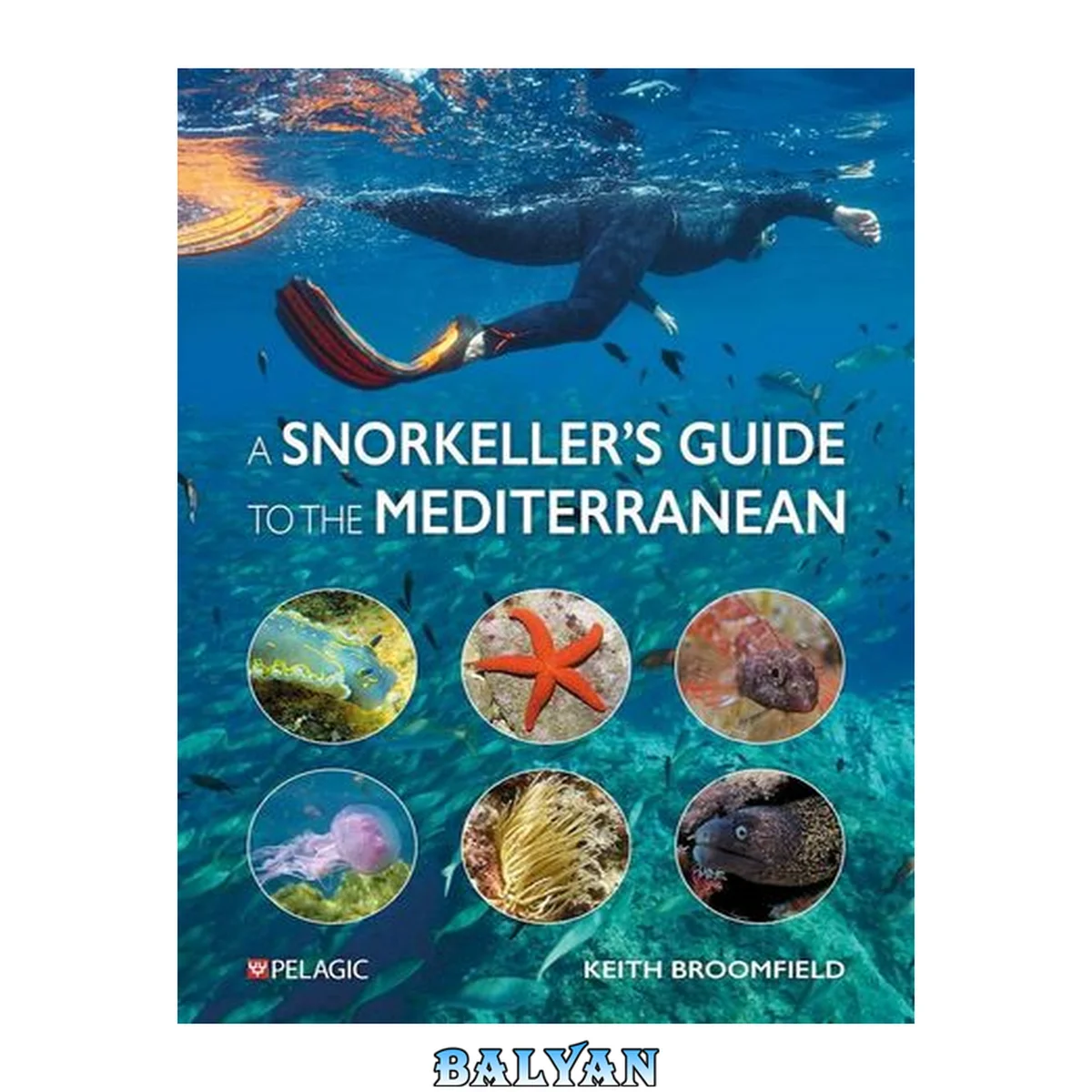 جلد کتاب A Snorkeller's Guide to the Mediterranean: A photographic ID guide to the most commonly encountered marine species