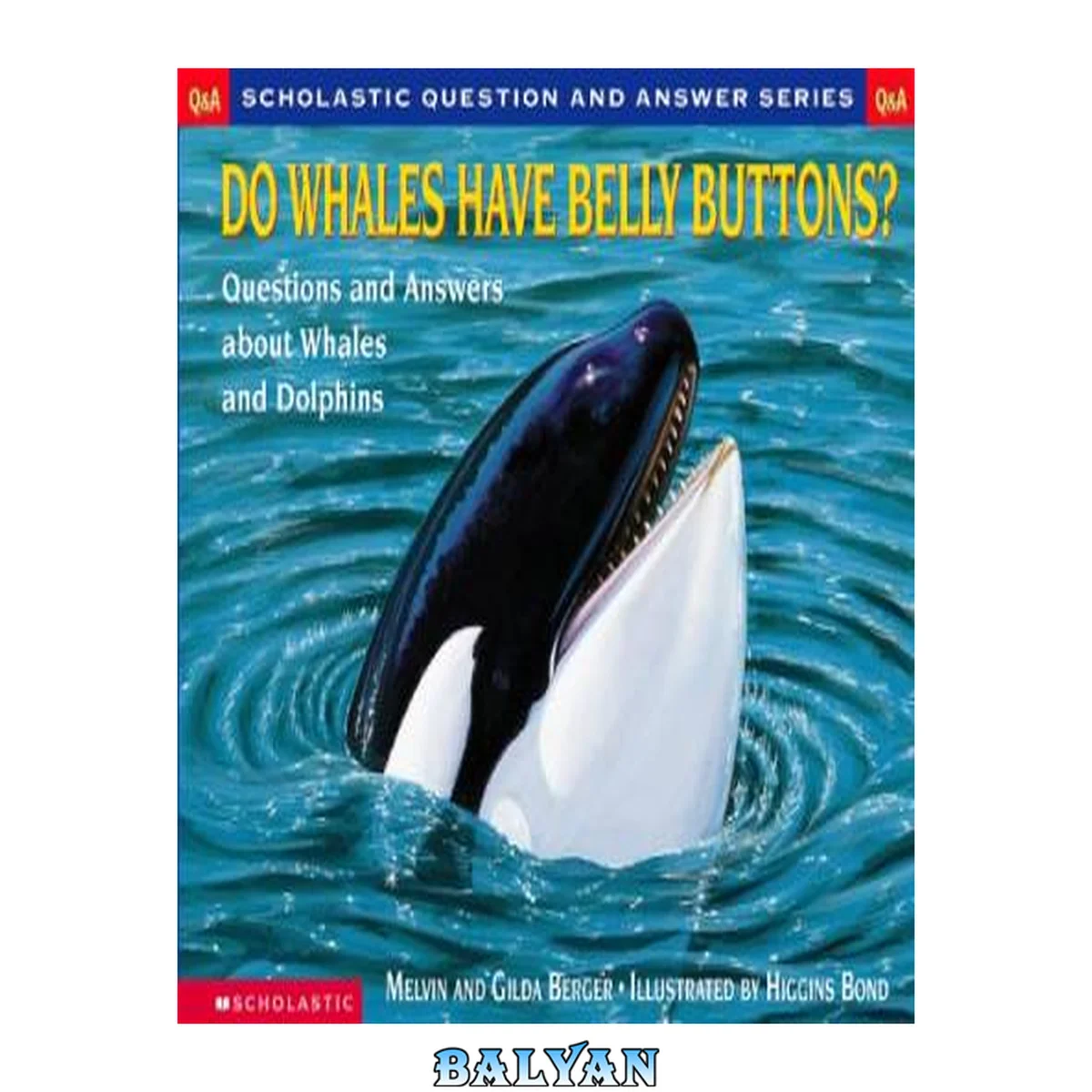 جلد کتاب Do whales have belly buttons? : questions and answers about whales and dolphins
