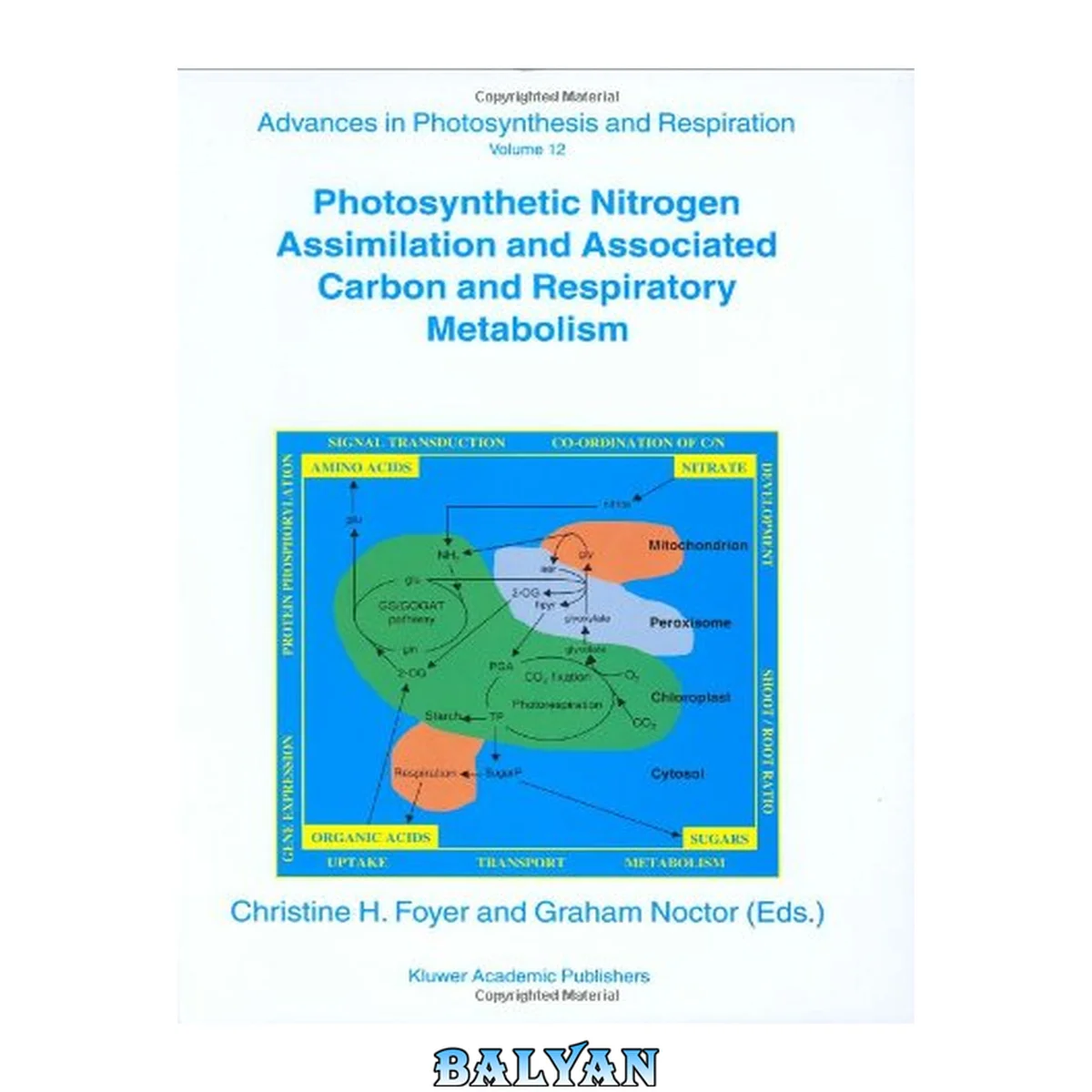 جلد کتاب Photosynthetic Nitrogen Assimilation and Associated Carbon and Respiratory Metabolism (Advances in Photosynthesis and Respiration Book 12)