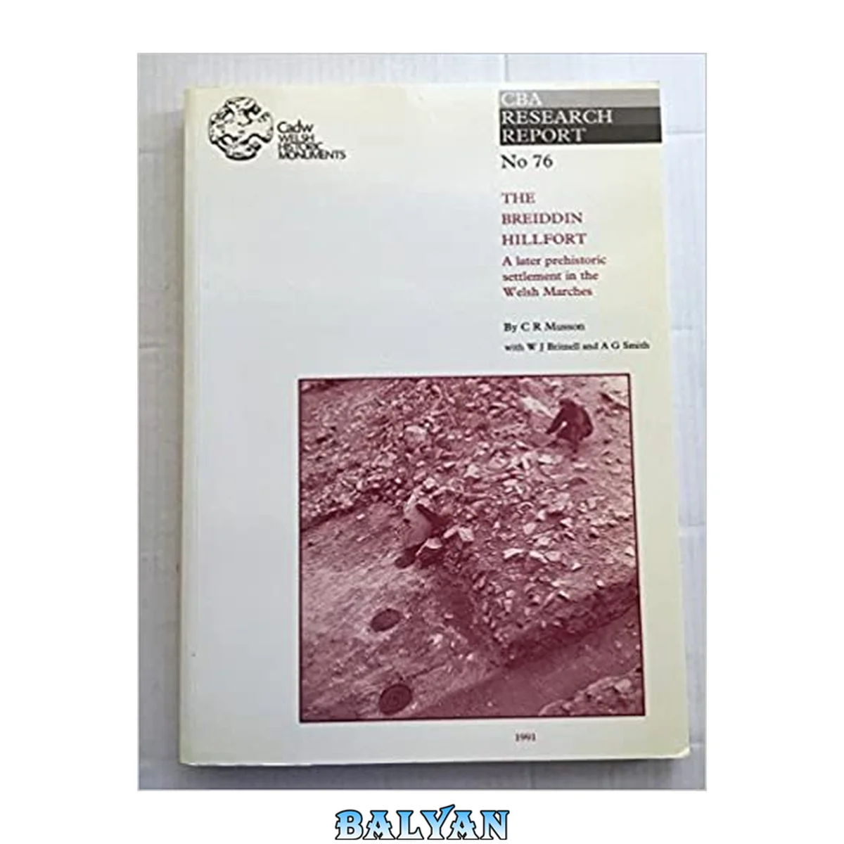 جلد کتاب The Breiddin hillfort: A later prehistoric settlement in the Welsh Marches (CBA research report)