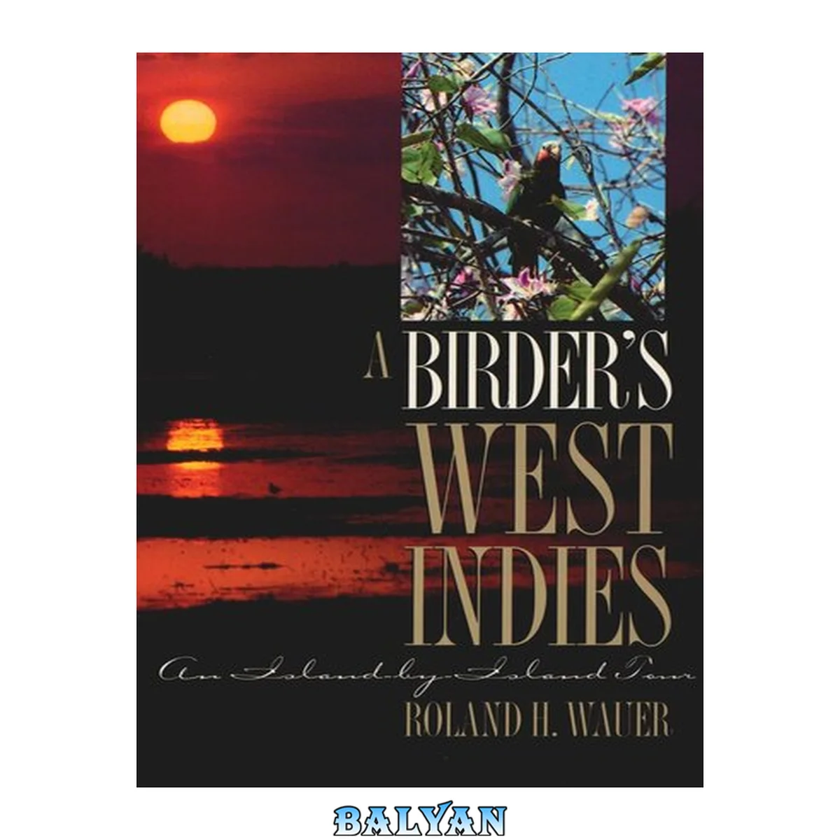 جلد کتاب A Birder’s West Indies : An Island-by-Island Tour