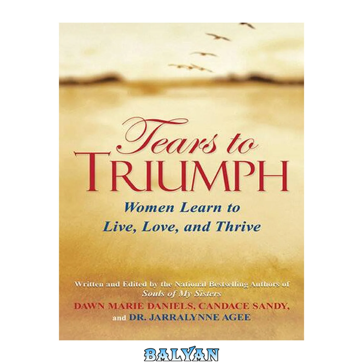 جلد کتاب Tears to Triumph: Women Learn To Live, Love and Thrive (Souls of My Sisters Book)