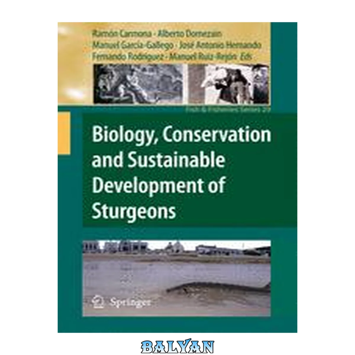 جلد کتاب Biology, Conservation and Sustainable Development of Sturgeons (Fish &amp; Fisheries Series Book 29)