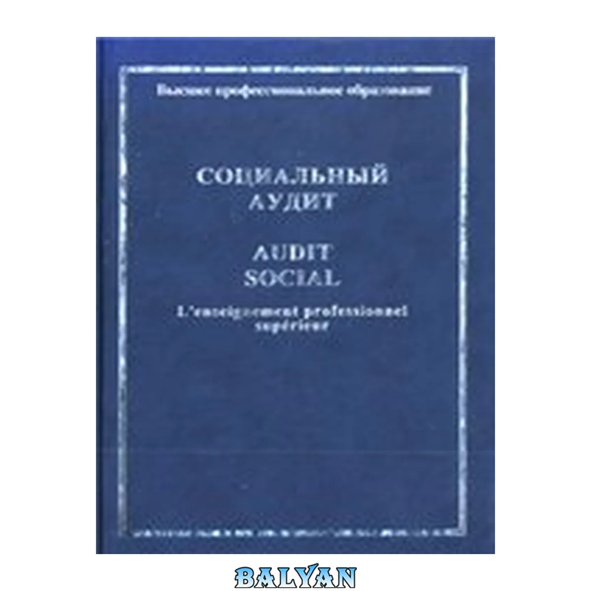 جلد کتاب Социальный аудит: Audit Social: учебное пособие по дисциплине специальности "Менеджмент организации"