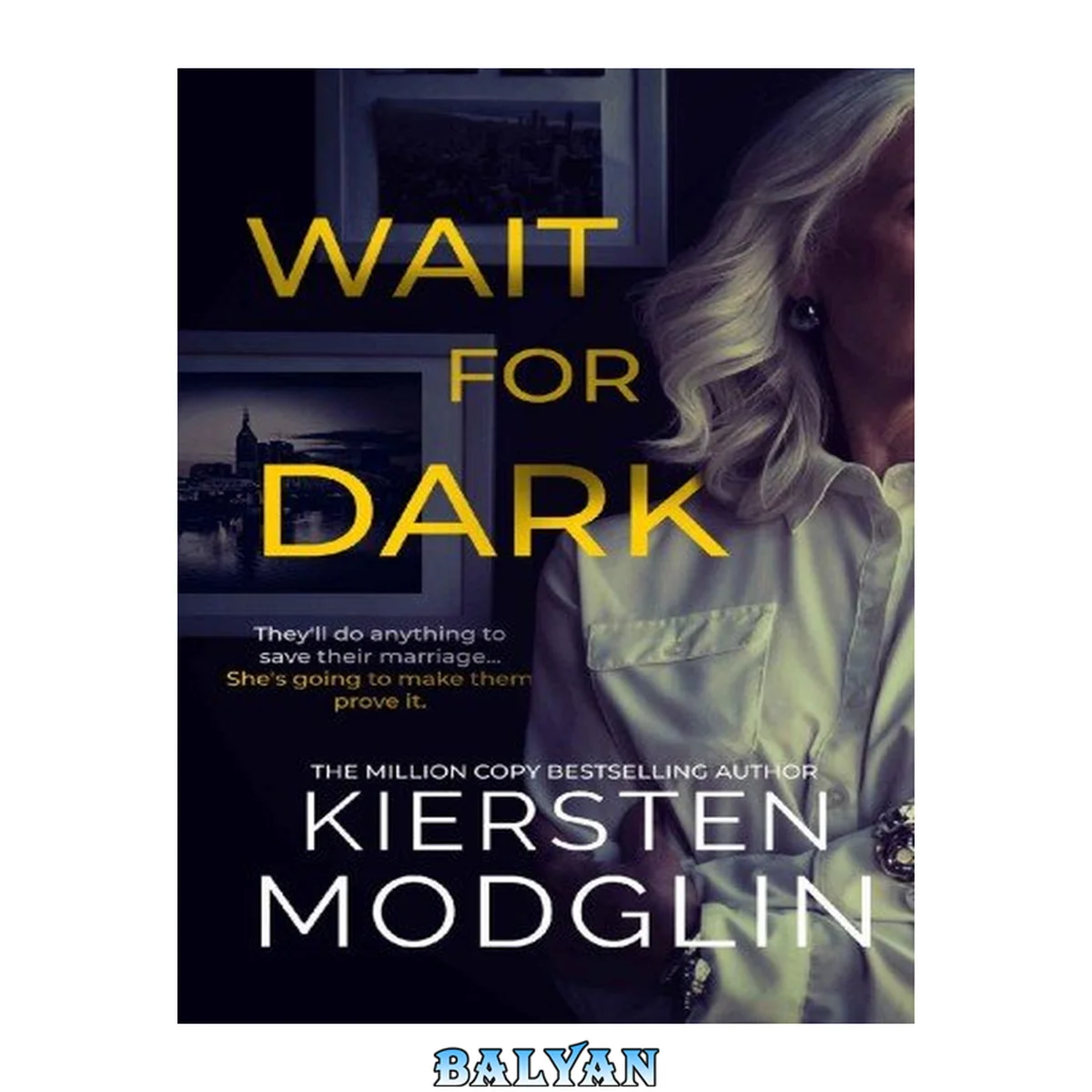 جلد کتاب Wait for Dark