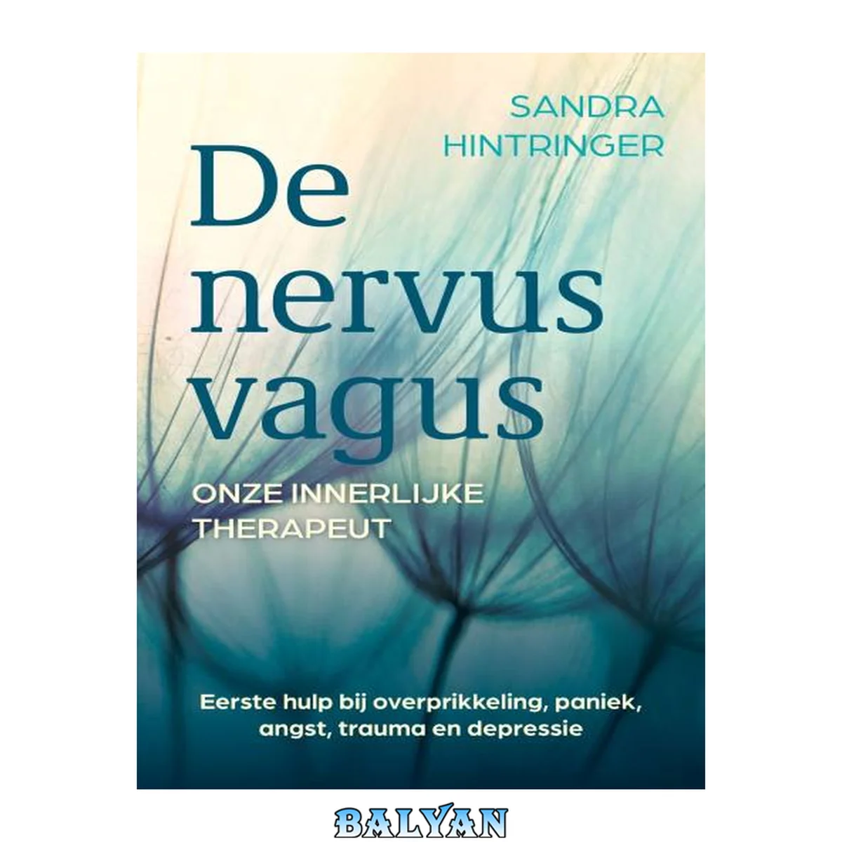 جلد کتاب De nervus vagus, onze innerlijke therapeut (Dutch Edition)