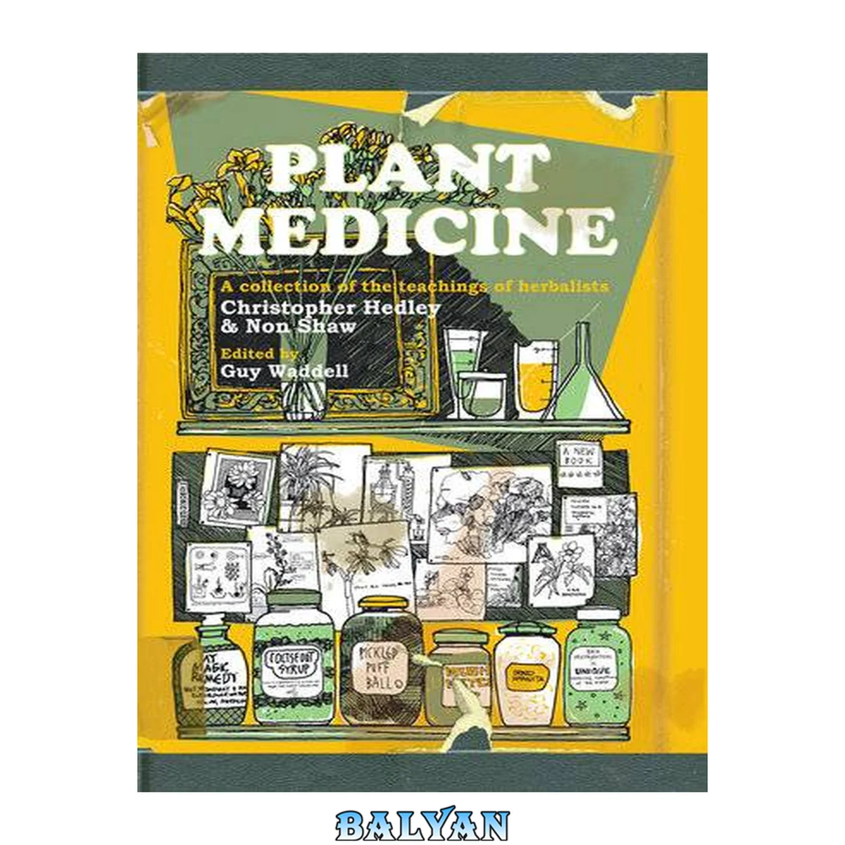 جلد کتاب Plant Medicine: A Collection of the Teachings of Herbalists Christopher Hedley and Non Shaw [Team-IRA]