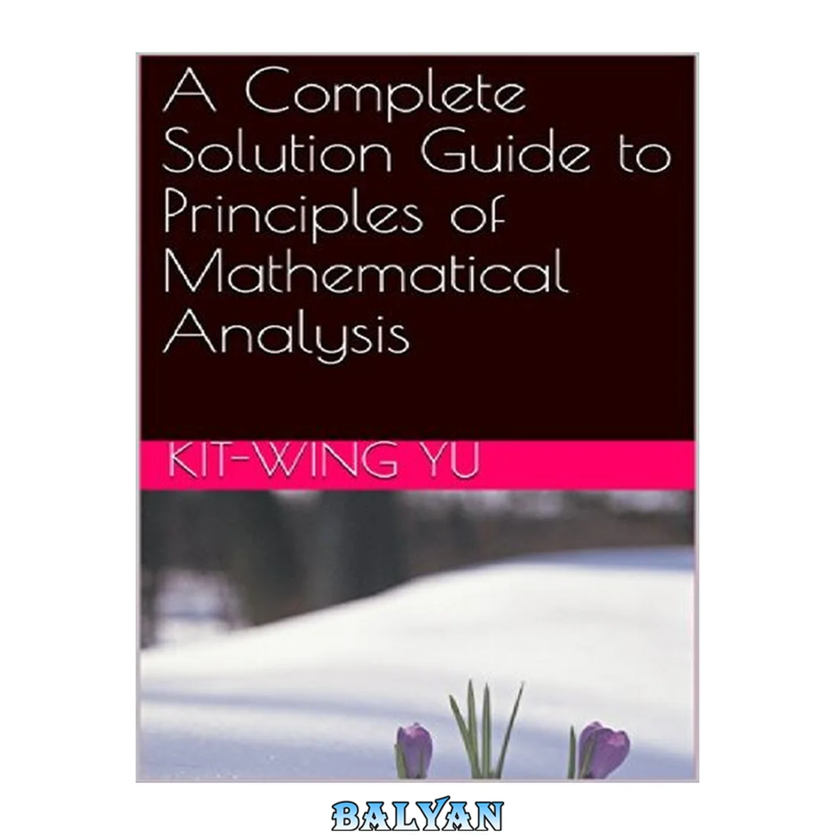 جلد کتاب A complete solution guide to principles of mathematical analysis
