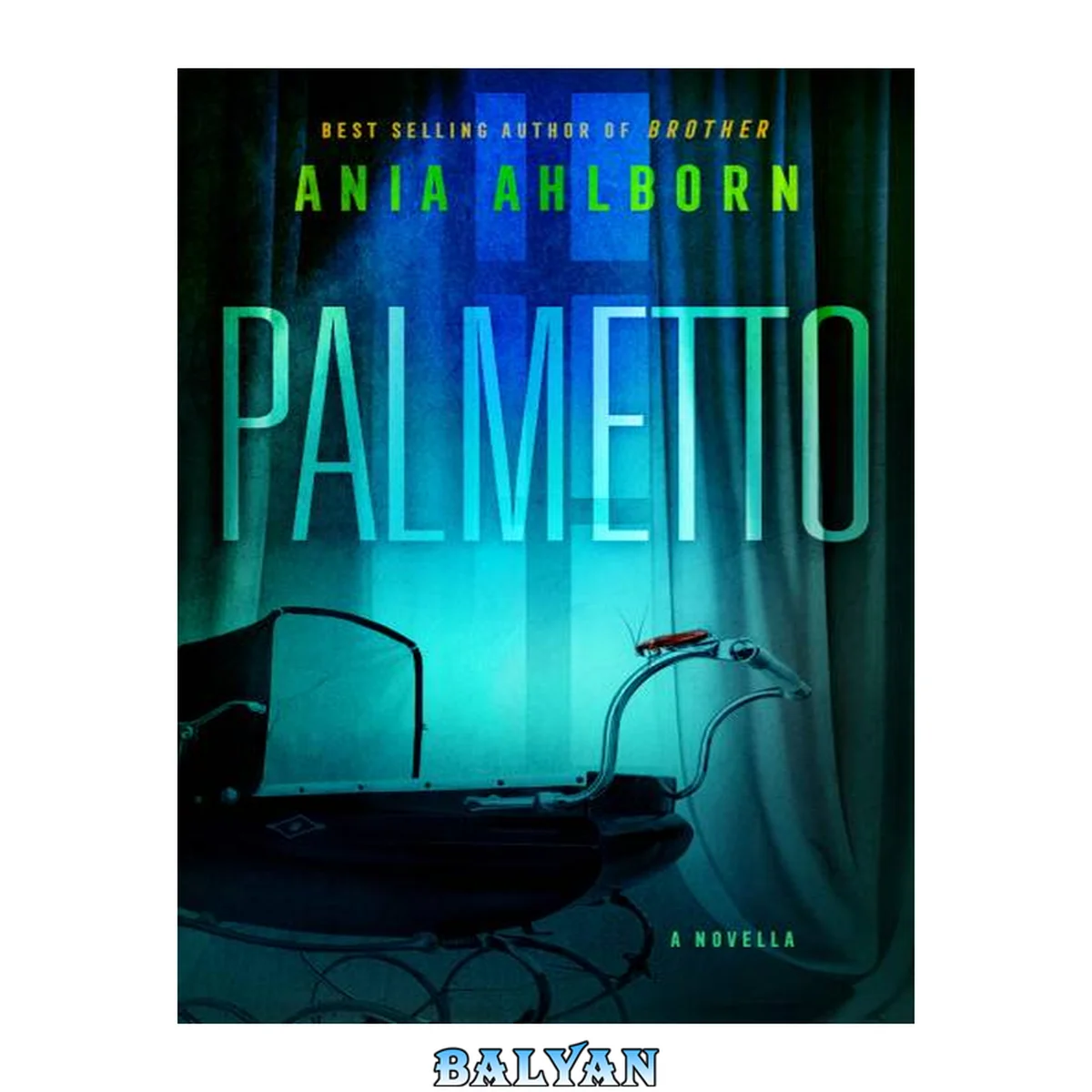 جلد کتاب Palmetto