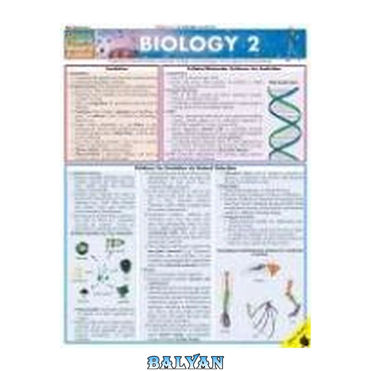 جلد کتاب BarCharts QuickStudy Biology Vol 2