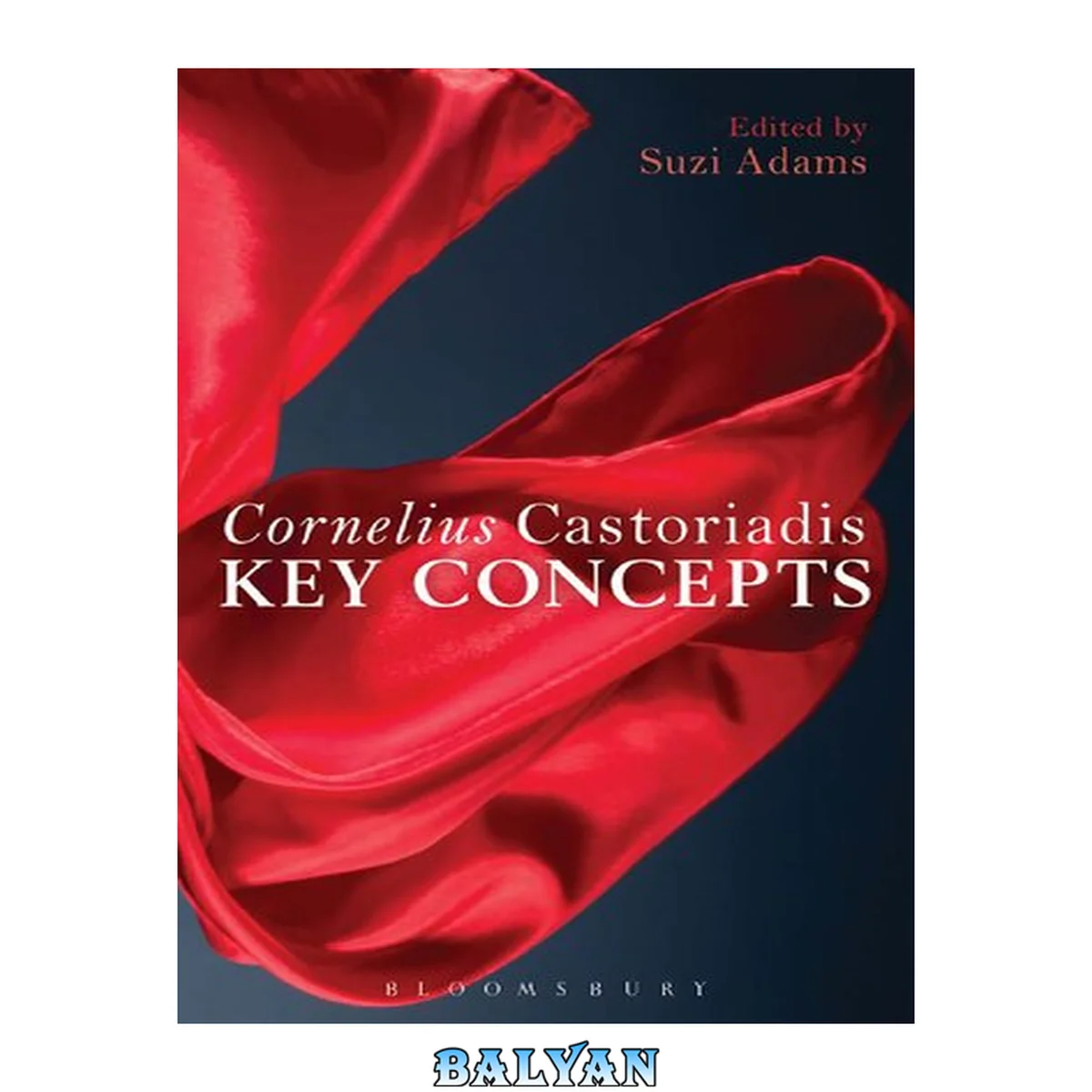 جلد کتاب Cornelius Castoriadis : Key Concepts