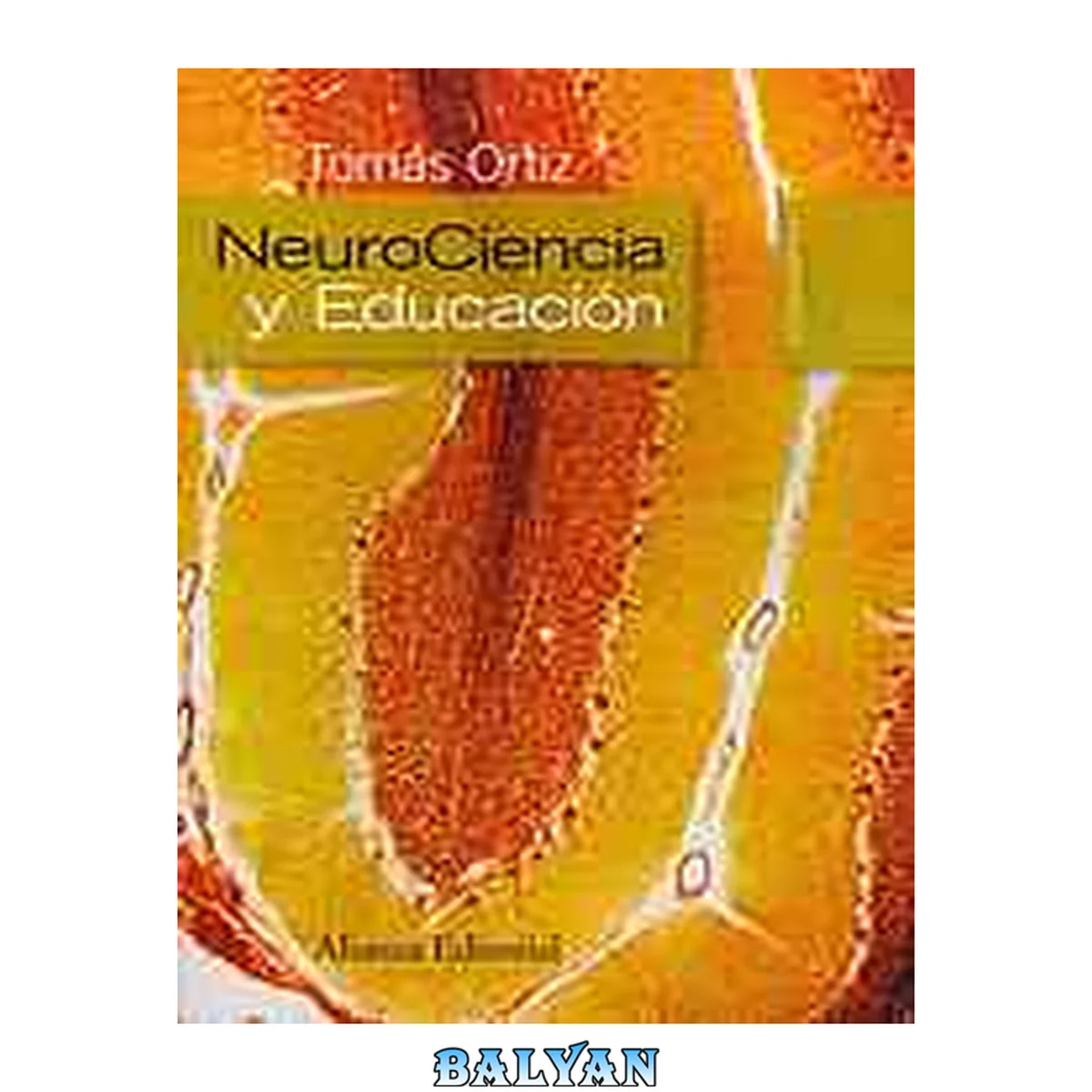 جلد کتاب Neurociencia y educación (Alianza Ensayo) (Spanish Edition)