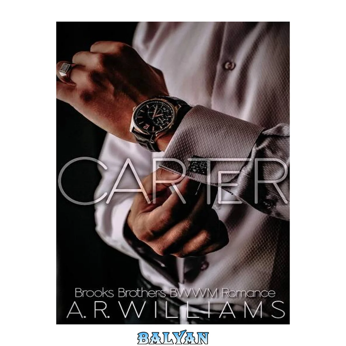 جلد کتاب Carter: BWWM Second Chance Romance (Brooks Brothers: BWWM Romance Series Book 1)