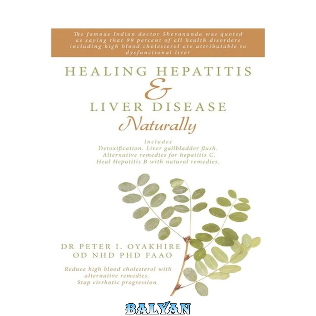 جلد کتاب Healing Hepatitis &amp; Liver Disease Naturally: Detoxification. Liver Gallbladder Flush. Alternative Remedies for Hepatitis C. Heal Hepatitis B with Natural Remedies. Reduce High Blood Cholesterol with Alternative Remedies. Stop Cirrhotic Progression