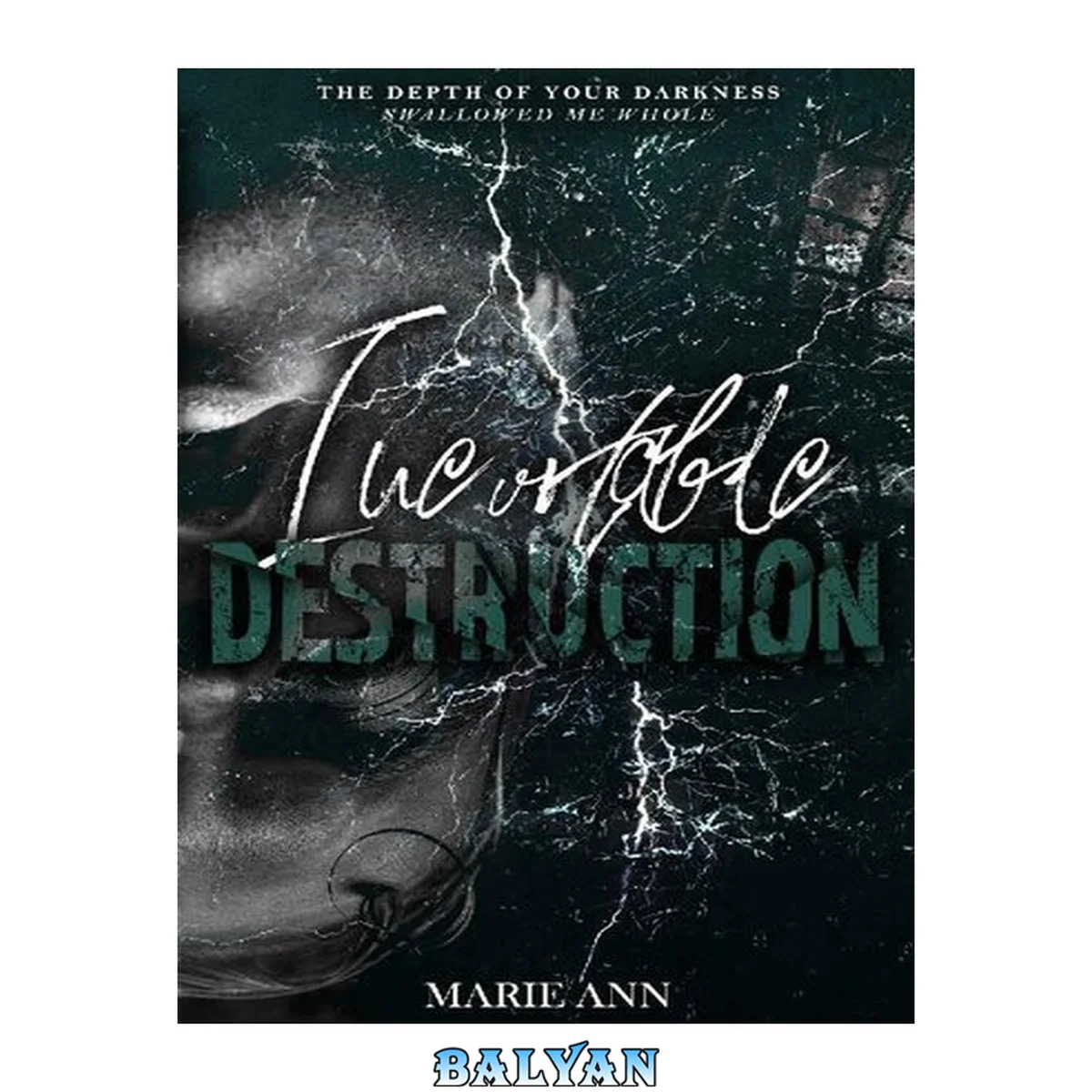 جلد کتاب Inevitable Destruction