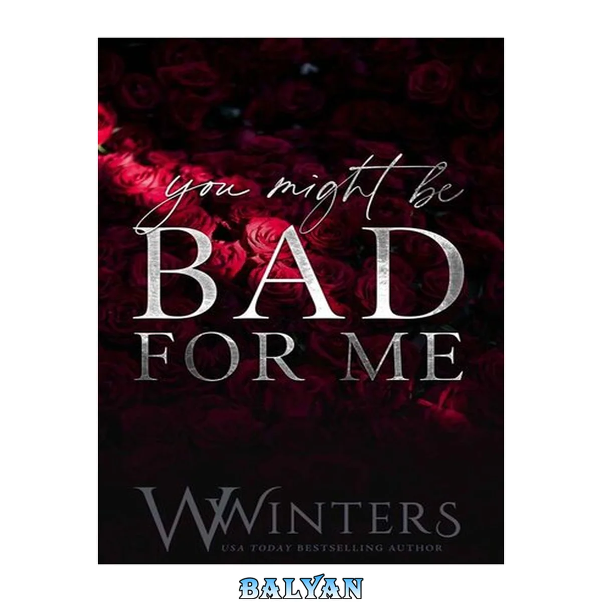 جلد کتاب You Might Be Bad For Me