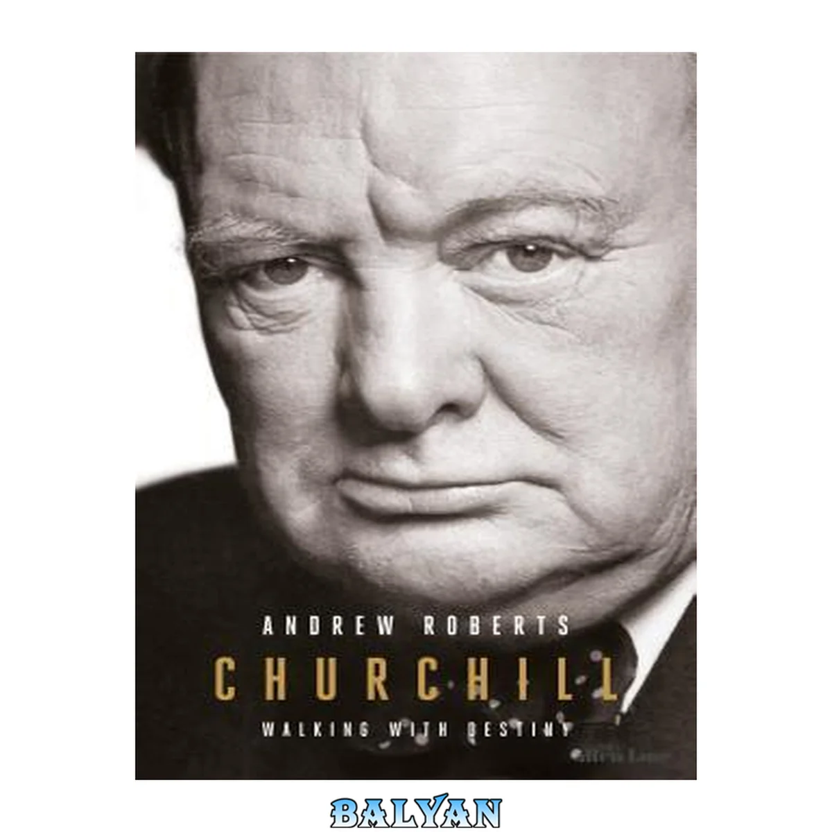 جلد کتاب Churchill : Walking with Destiny
