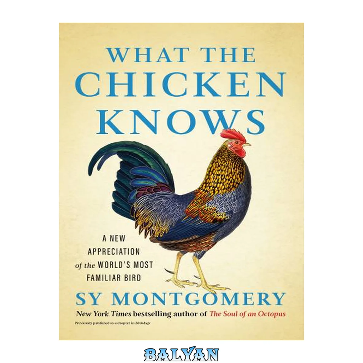 جلد کتاب What the Chicken Knows : A New Appreciation of the World's Most Familiar Bird