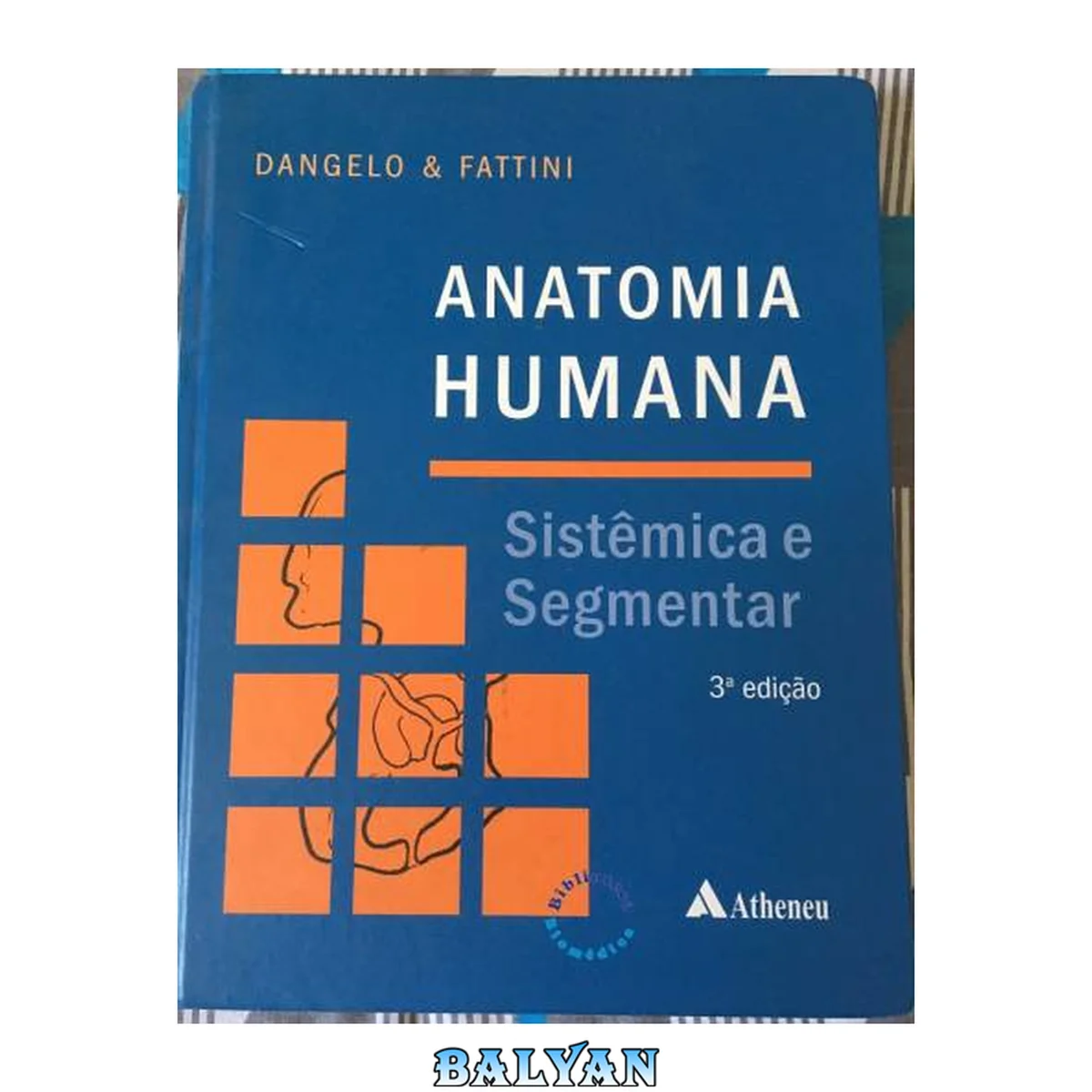 جلد کتاب Anatomia Humana. Sistêmica e Segmentar (Em Portuguese do Brasil)
