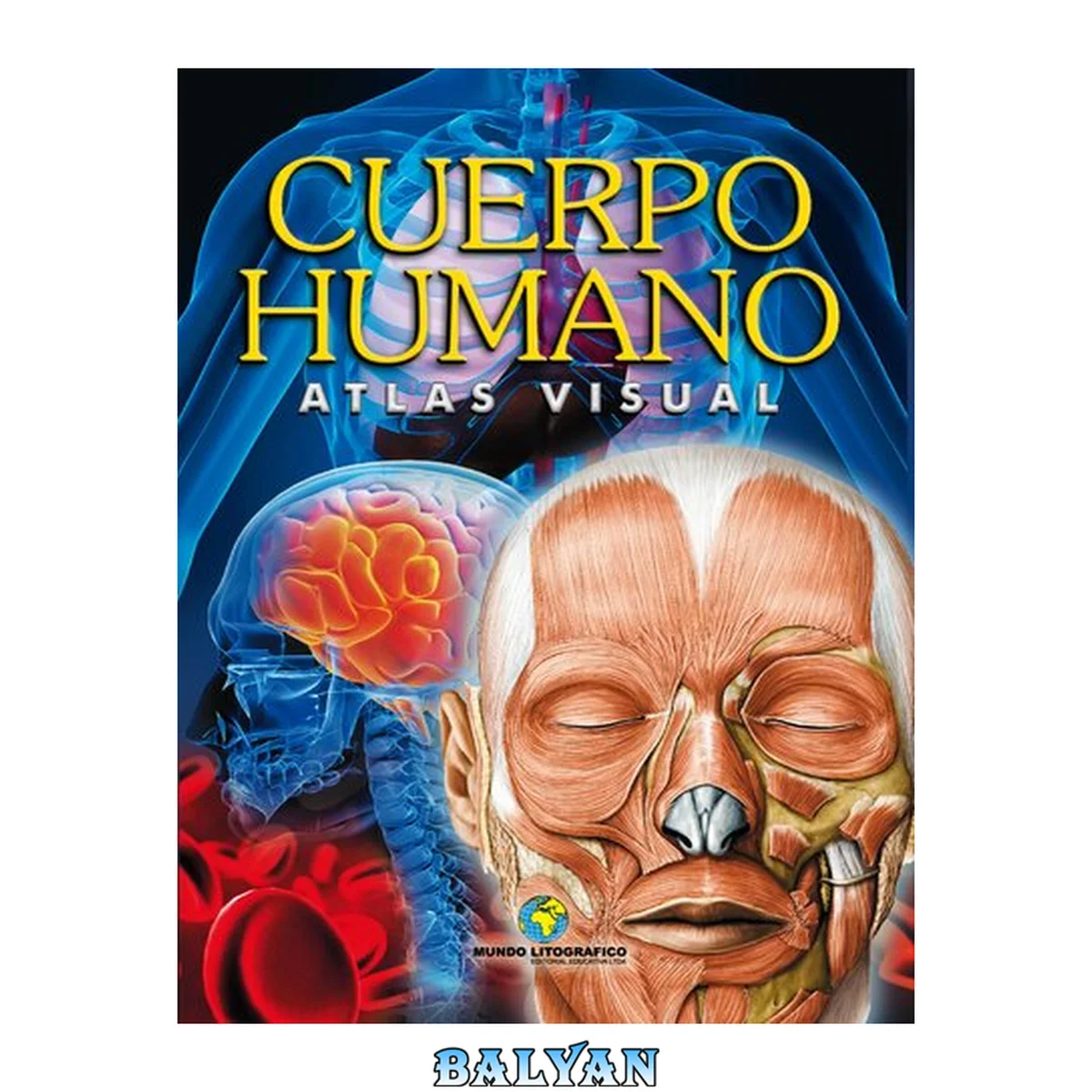 جلد کتاب Atlas visual del cuerpo humano