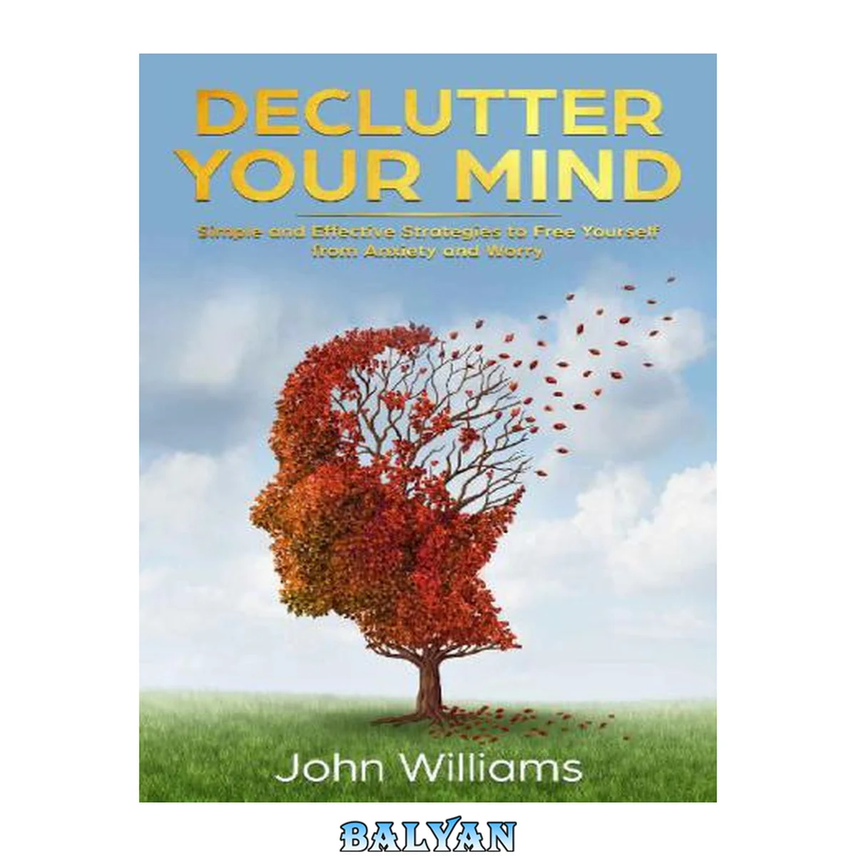 جلد کتاب Declutter Your Mind Simple and Effective Strategies to Free Yourself from Anxiety and Worry