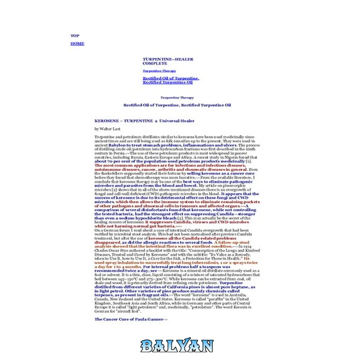 جلد کتاب Dr Jennifer Daniels &amp; Walter Last: Turpentine Therapy Protocol - Turpentine Kerosene Universal Healer