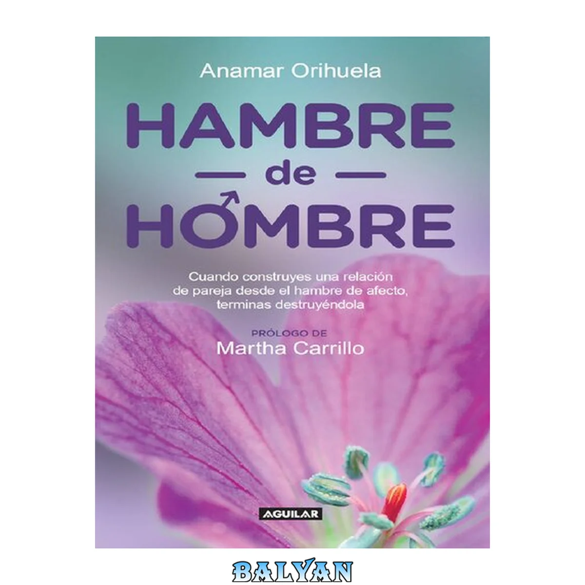 جلد کتاب Hambre de hombre: Cuando construyes una relación de pareja desde el hambre de afecto, terminas destruyéndola