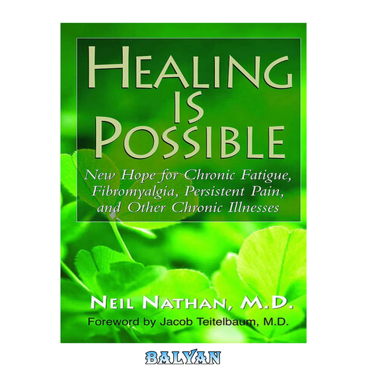 جلد کتاب New Healing Is Possible : New Hope for Chronic Fatigue, Fibromyalgia, Persistent Pain, and Other Chronic Illnesses