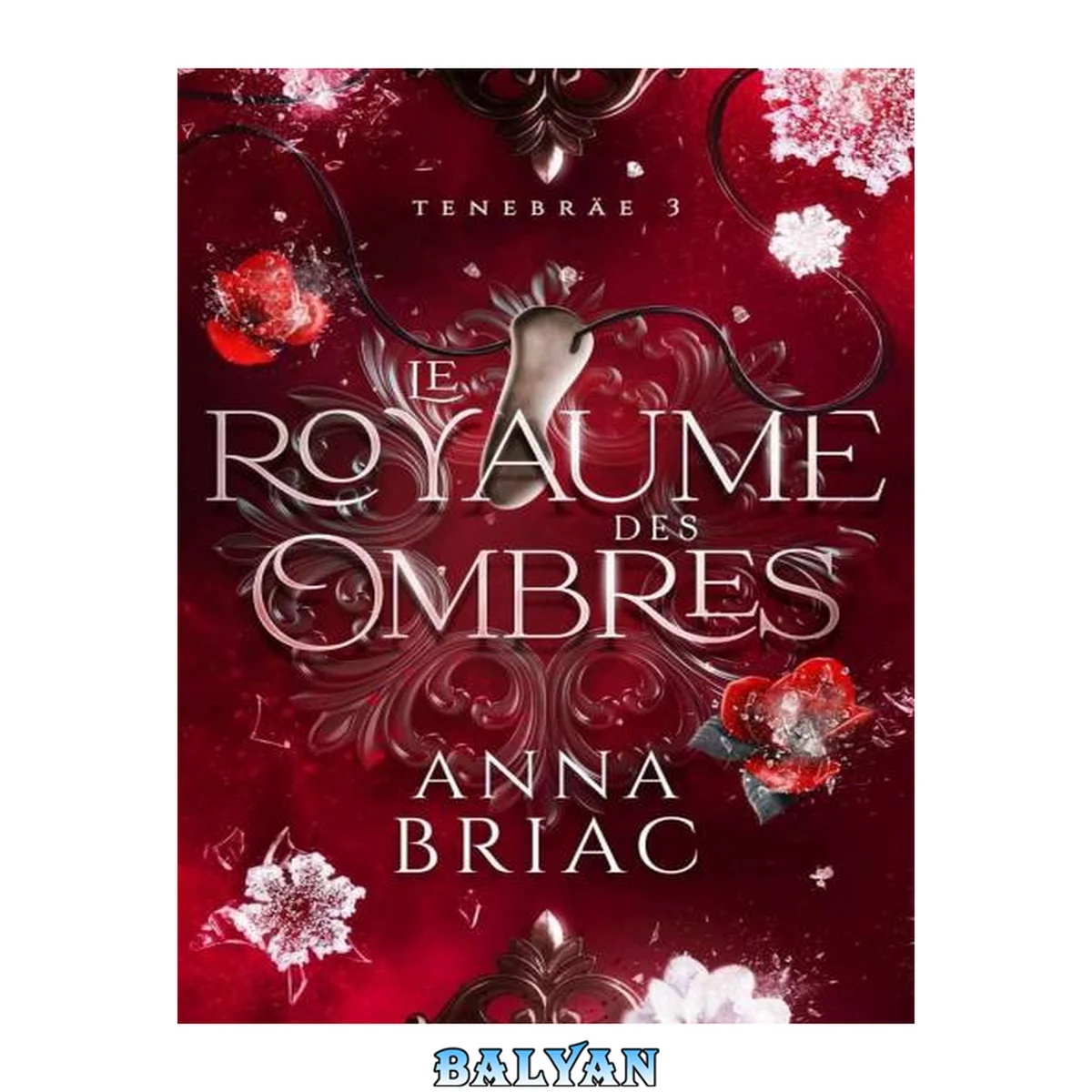 جلد کتاب Tenebräe 03 - Le Royaume des Ombres