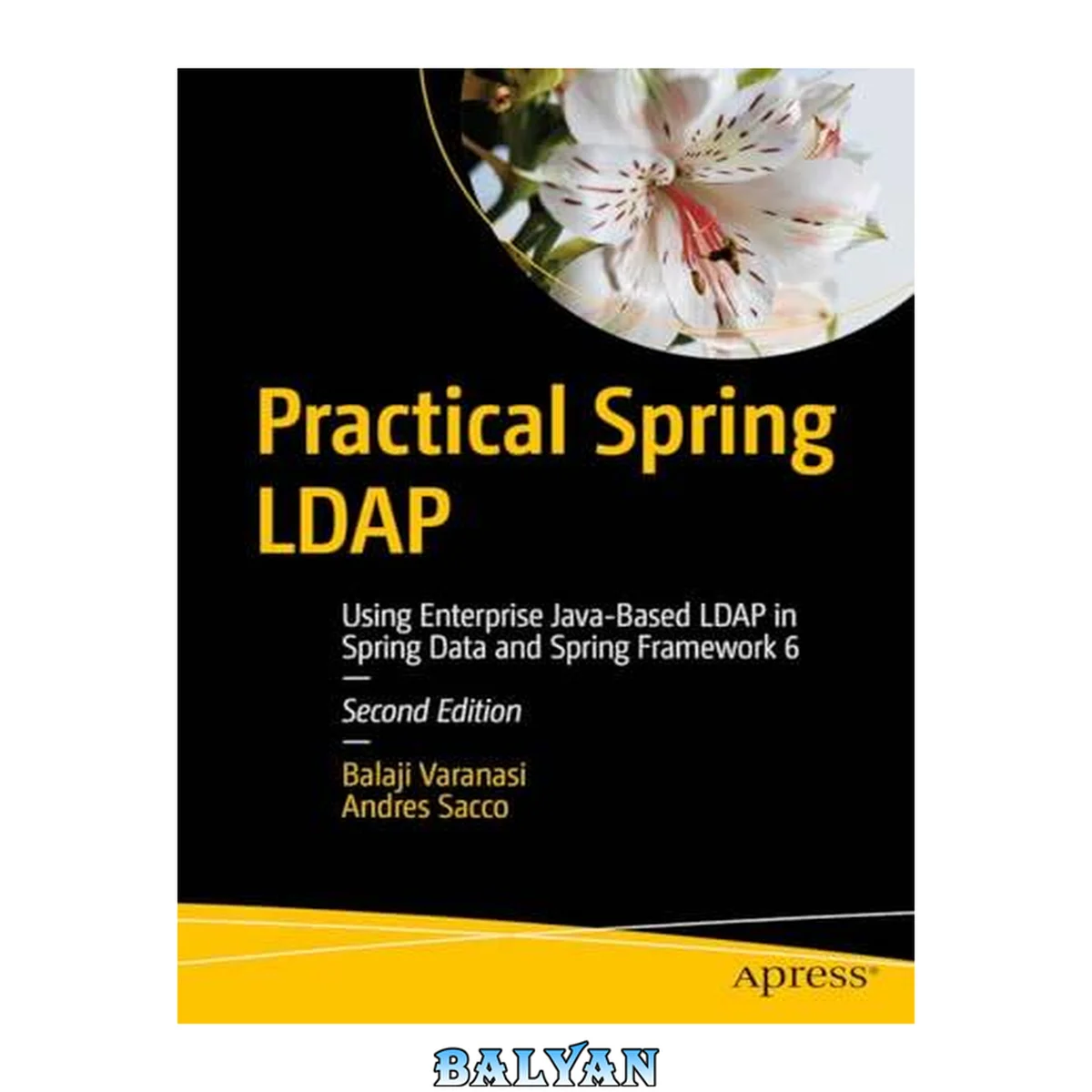جلد کتاب Practical Spring LDAP: Using Enterprise Java-Based LDAP in Spring Data and Spring Framework 6
