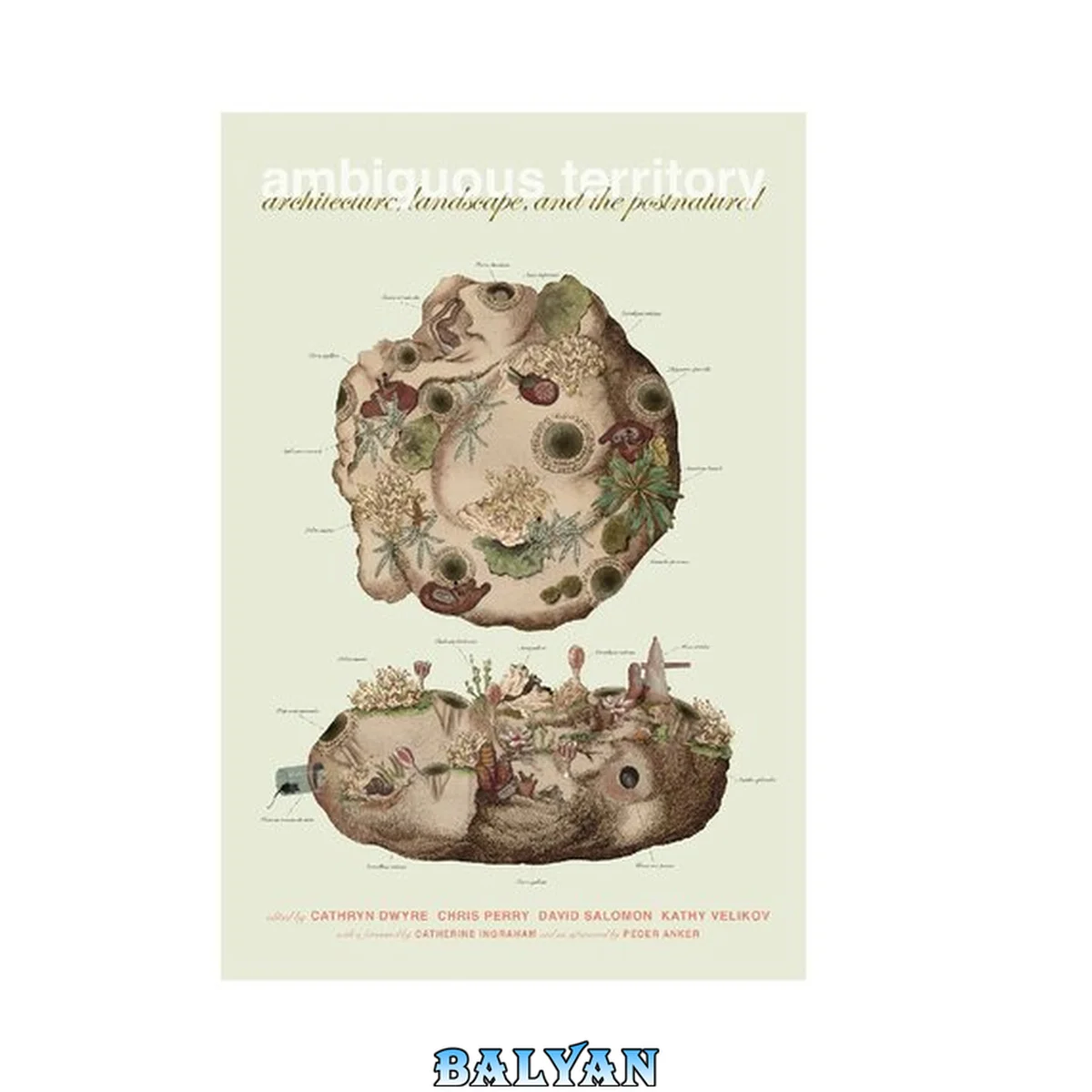 جلد کتاب Ambiguous territory : architecture, landscape and the postnatural