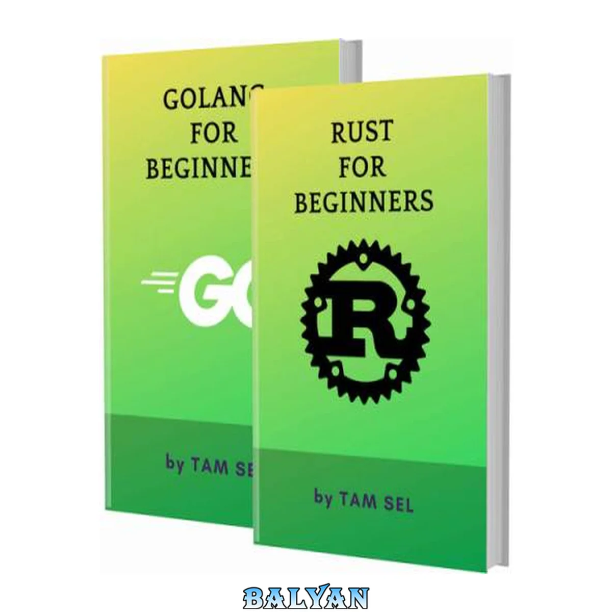 جلد کتاب RUST AND GOLANG FOR BEGINNERS: 2 BOOKS IN 1 - Learn Coding Fast! RUST AND GOLANG Crash Course, A QuickStart Guide, Tutorial Book by Program Examples, In Easy Steps!