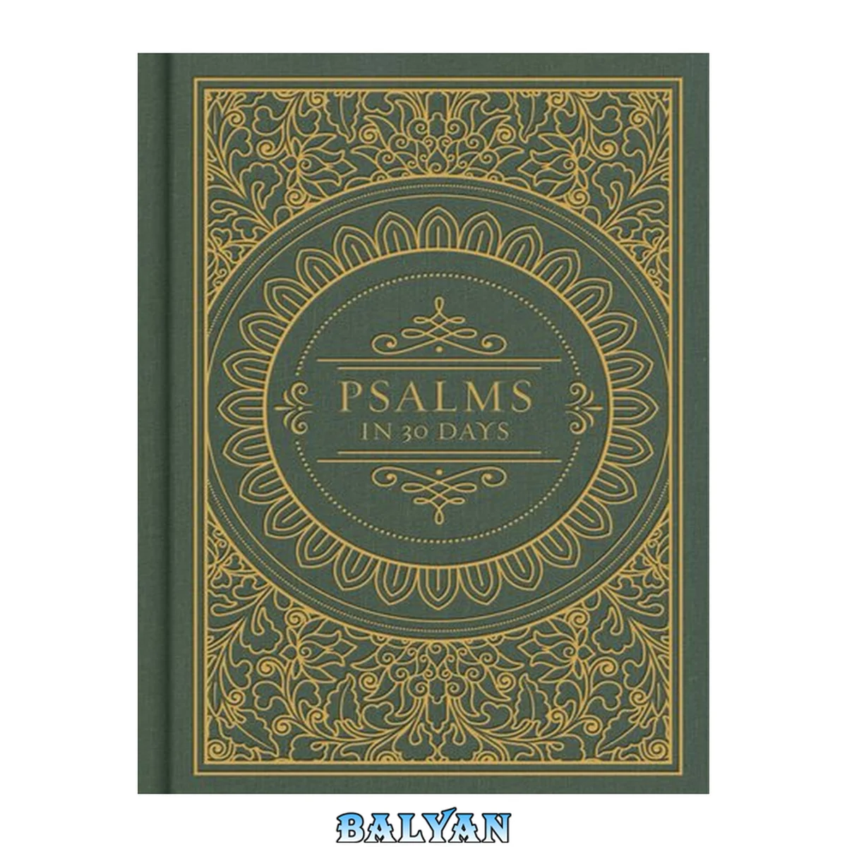 جلد کتاب PSALMS IN 30 DAYS : csb edition