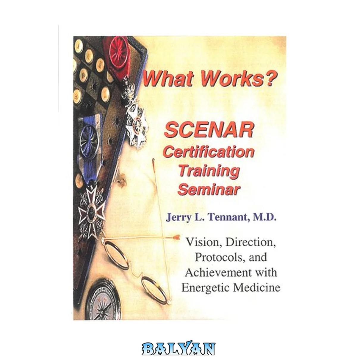 جلد کتاب What Works? SCENAR certification training seminar