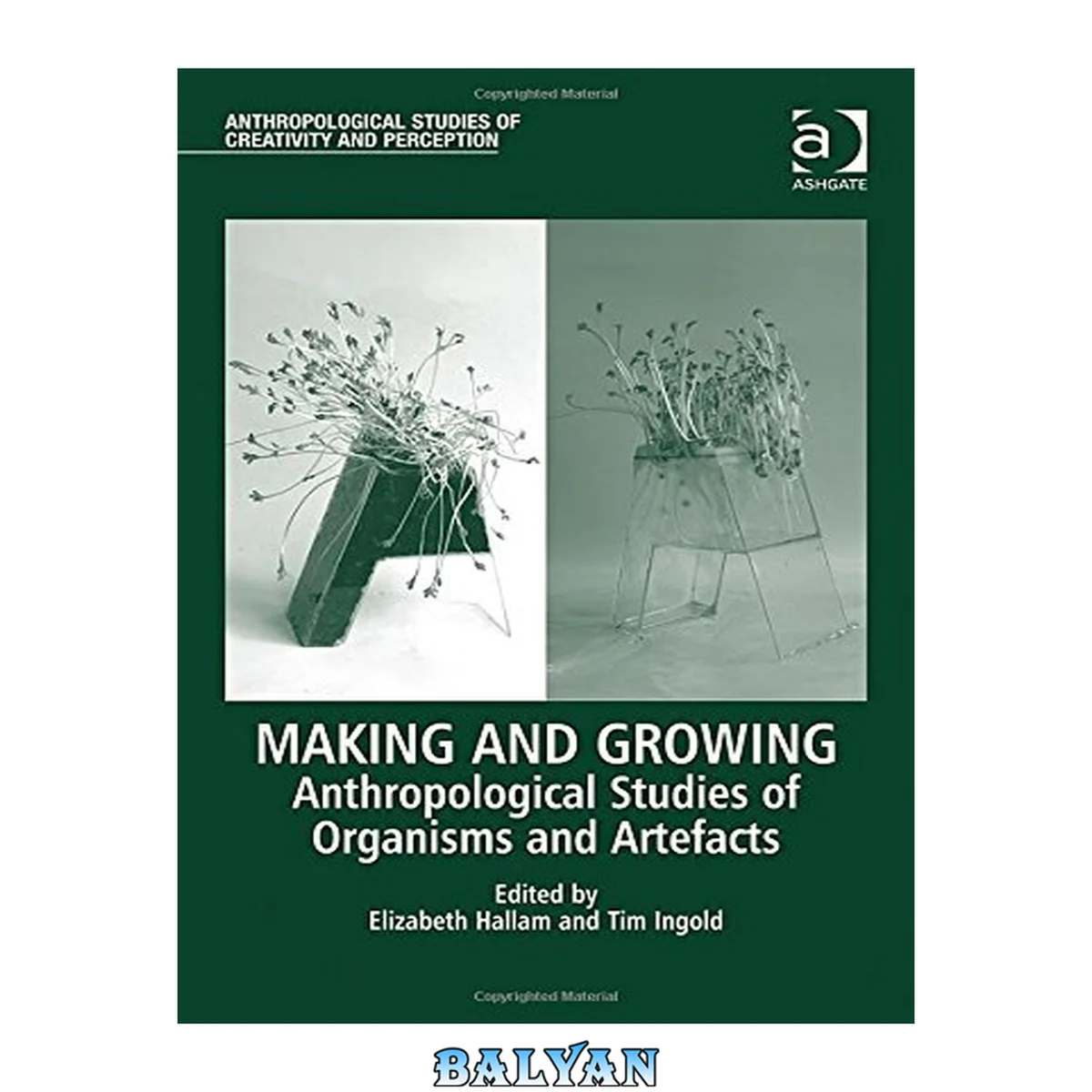 جلد کتاب Making and Growing: Anthropological Studies of Organisms and Artefacts (Anthropological Studies of Creativity and Perception)