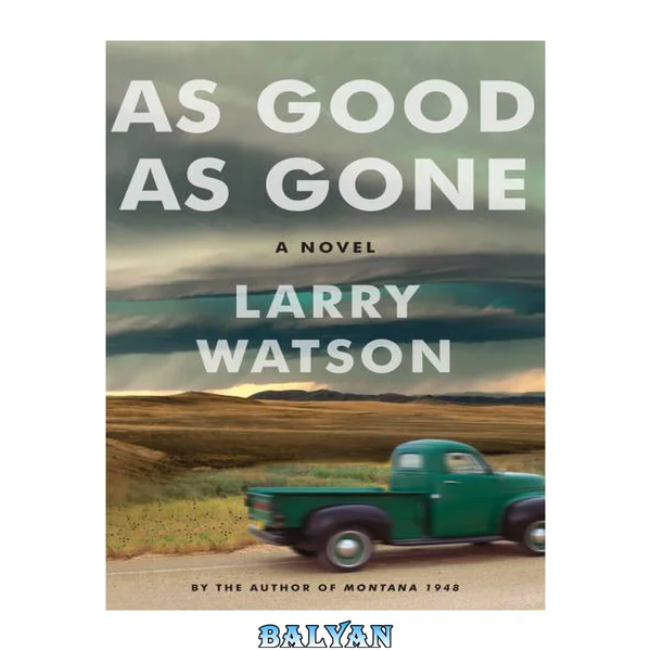 به خوبی رفته: رمان