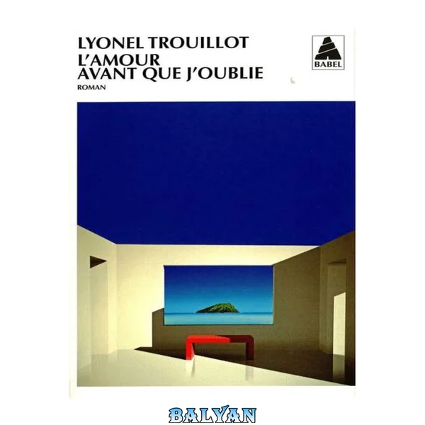 L'amour avant que j'oublie : roman