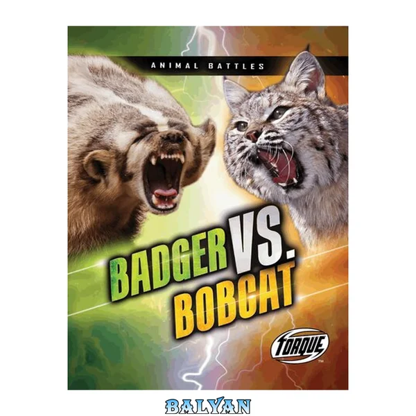 Badger vs. Bobcat (Animal Battles)