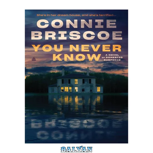 You Never Know : A Novel of Domestic Suspense