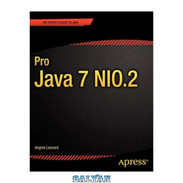 Pro Java 7 NIO.2 (Expert's Voice in Java)